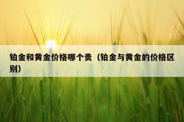 铂金和黄金价格哪个贵（铂金与黄金的价格区别）