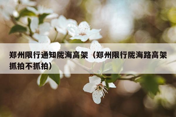 郑州限行通知陇海高架(郑州限行陇海路高架抓拍不抓拍)