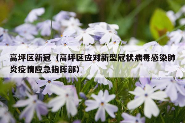 高坪区新冠（高坪区应对新型冠状病毒感染肺炎疫情应急指挥部）