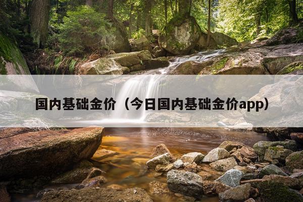 国内基础金价（今日国内基础金价app）