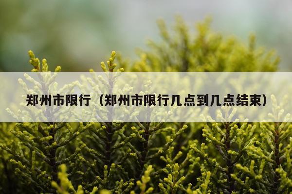 郑州市限行(郑州市限行几点到几点结束)