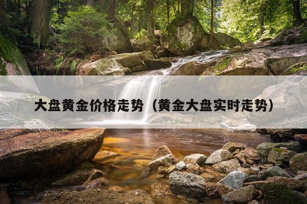 大盘黄金价格走势（黄金大盘实时走势）