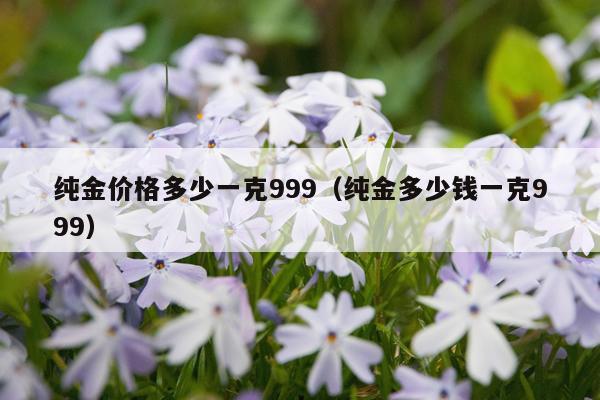 纯金价格多少一克999（纯金多少钱一克999）