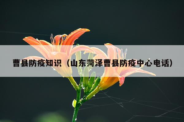 曹县防疫知识(山东菏泽曹县防疫中心电话)
