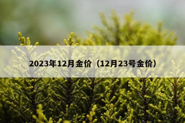 2023年12月金价（12月23号金价）