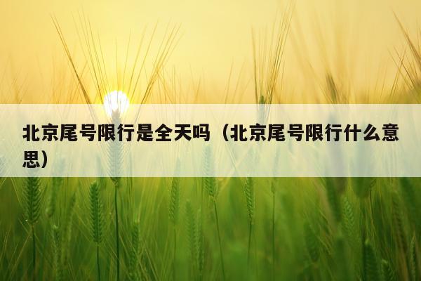 北京尾号限行是全天吗（北京尾号限行什么意思）