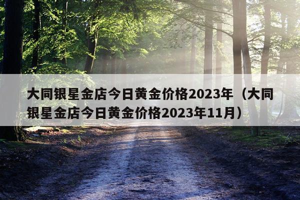 大同银星金店今日黄金价格2023年（大同银星金店今日黄金价格2023年11月）