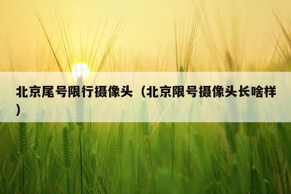 北京尾号限行摄像头（北京限号摄像头长啥样）