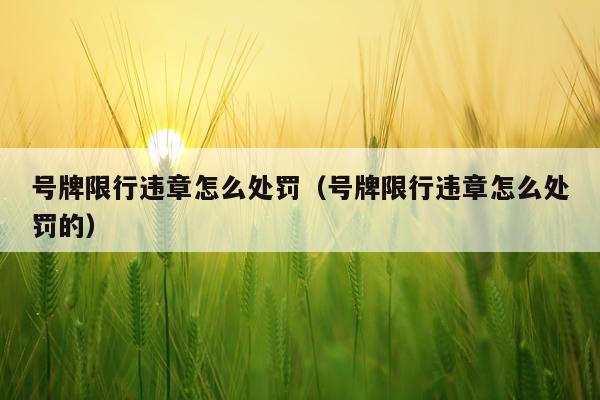 号牌限行违章怎么处罚（号牌限行违章怎么处罚的）