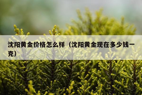 沈阳黄金价格怎么样（沈阳黄金现在多少钱一克）
