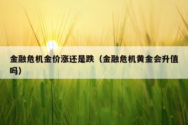 金融危机金价涨还是跌（金融危机黄金会升值吗）