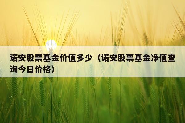 诺安股票基金价值多少(诺安股票基金净值查询今日价格)