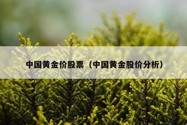 中国黄金价股票（中国黄金股价分析）