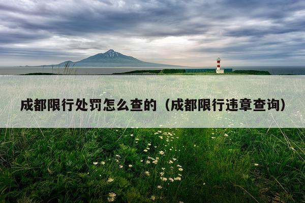 成都限行处罚怎么查的（成都限行违章查询）