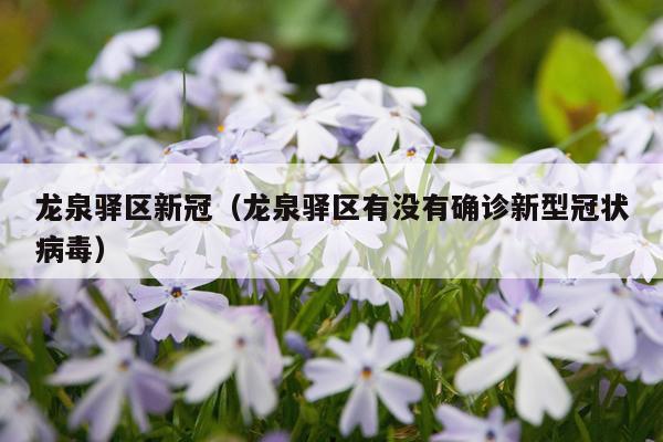 龙泉驿区新冠（龙泉驿区有没有确诊新型冠状病毒）
