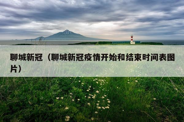 聊城新冠（聊城新冠疫情开始和结束时间表图片）
