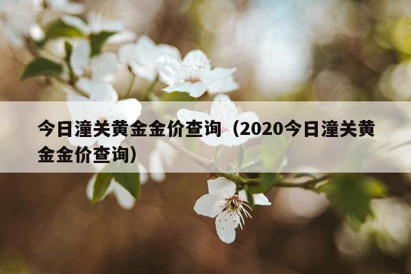 今日潼关黄金金价查询（2020今日潼关黄金金价查询）