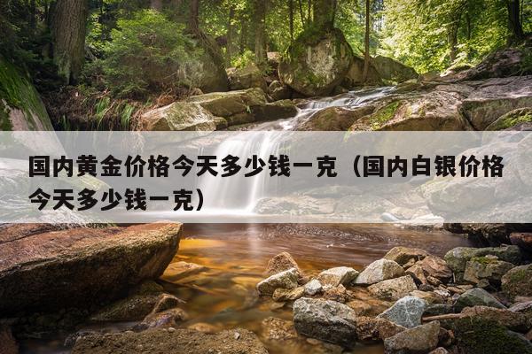 国内黄金价格今天多少钱一克(国内白银价格今天多少钱一克)