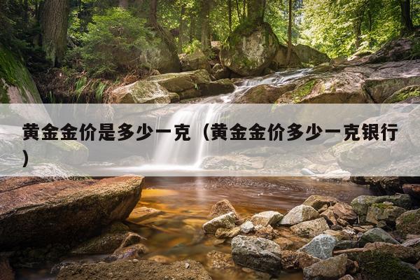 黄金金价是多少一克（黄金金价多少一克银行）