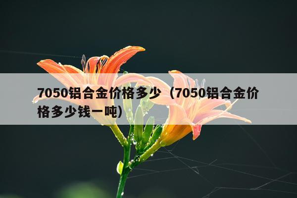 7050铝合金价格多少（7050铝合金价格多少钱一吨）