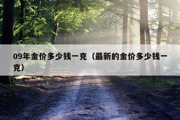09年金价多少钱一克（最新的金价多少钱一克）