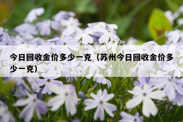 今日回收金价多少一克（苏州今日回收金价多少一克）