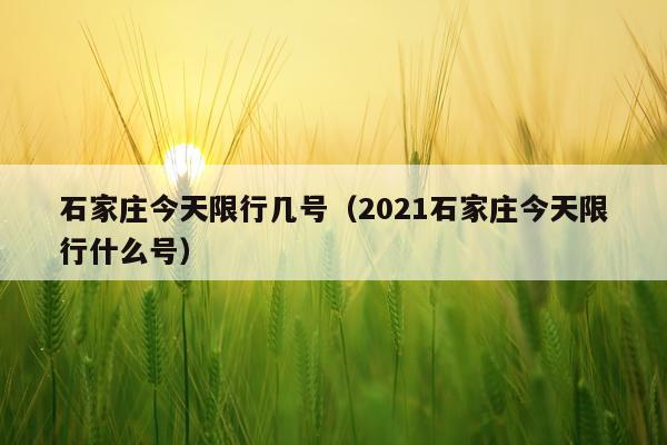 石家庄今天限行几号（2021石家庄今天限行什么号）