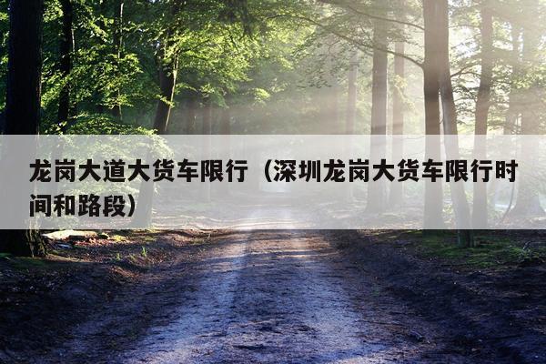 龙岗大道大货车限行（深圳龙岗大货车限行时间和路段）