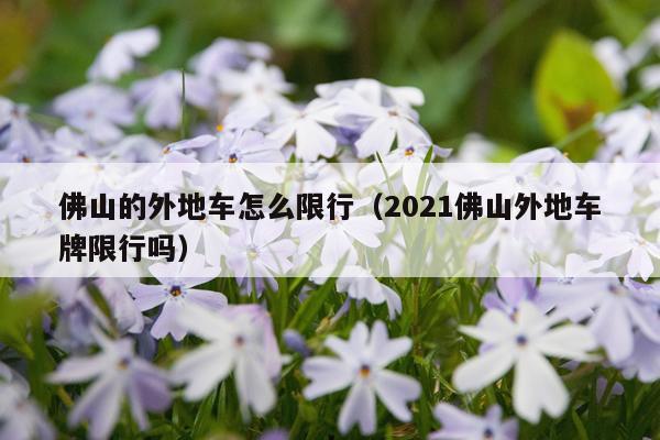 佛山的外地车怎么限行（2021佛山外地车牌限行吗）