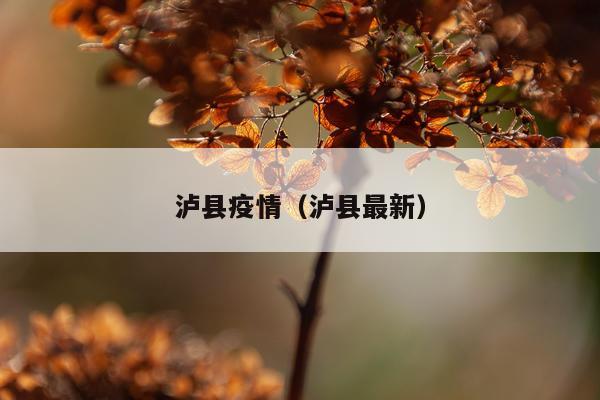 泸县疫情（泸县最新）