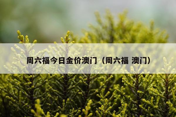周六福今日金价澳门（周六福 澳门）
