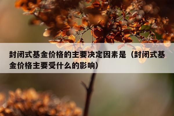封闭式基金价格的主要决定因素是（封闭式基金价格主要受什么的影响）
