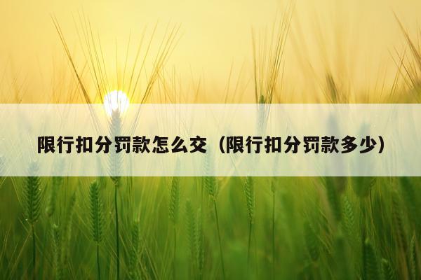 限行扣分罚款怎么交(限行扣分罚款多少)