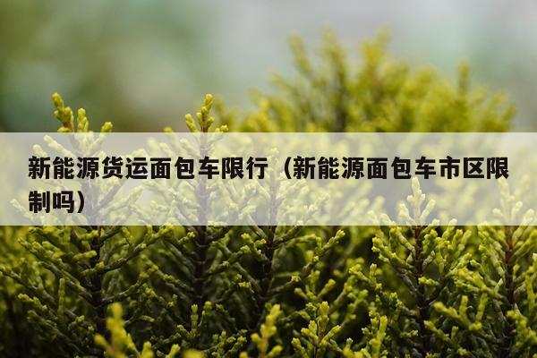 新能源货运面包车限行（新能源面包车市区限制吗）