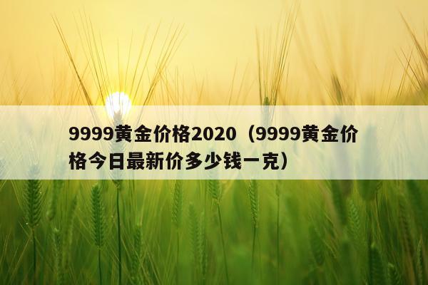 9999黄金价格2020（9999黄金价格今日最新价多少钱一克）