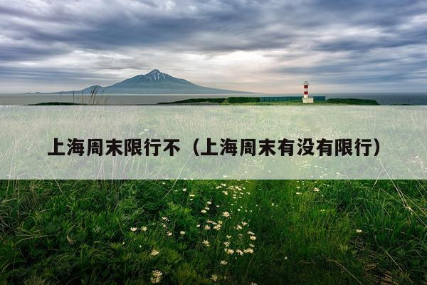 上海周末限行不（上海周末有没有限行）