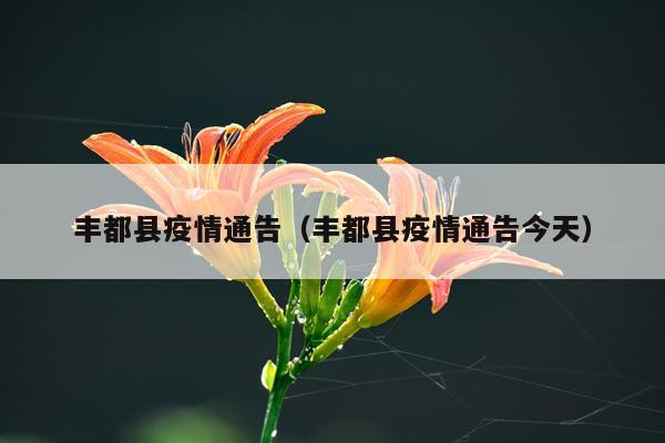 丰都县疫情通告（丰都县疫情通告今天）