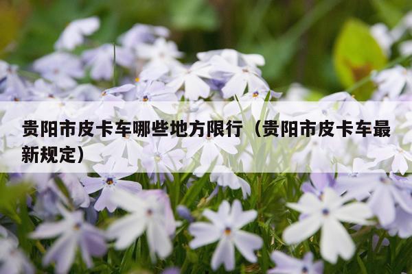 贵阳市皮卡车哪些地方限行（贵阳市皮卡车最新规定）