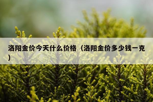 洛阳金价今天什么价格（洛阳金价多少钱一克）
