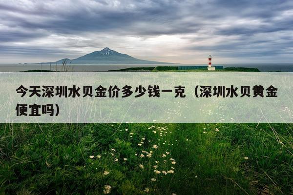 今天深圳水贝金价多少钱一克（深圳水贝黄金便宜吗）