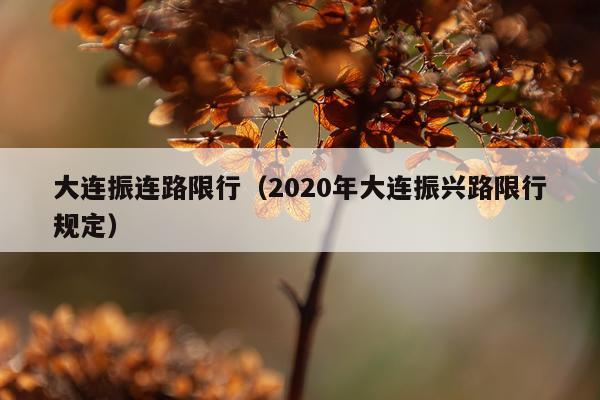 大连振连路限行（2020年大连振兴路限行规定）