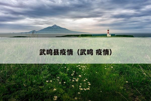 武鸣县疫情（武鸣 疫情）