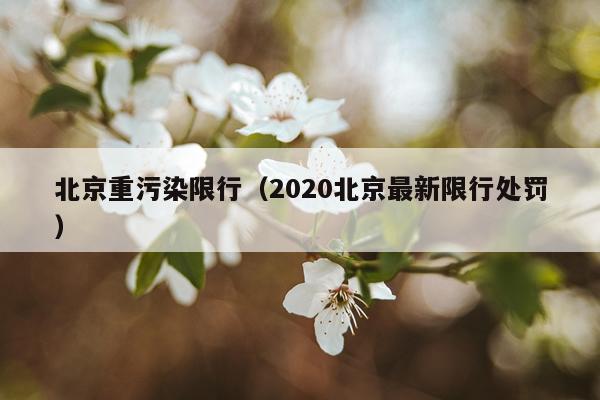 北京重污染限行（2020北京最新限行处罚）