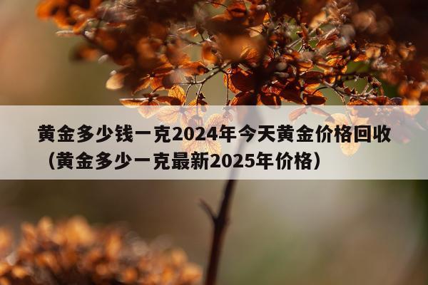 黄金多少钱一克2024年今天黄金价格回收（黄金多少一克最新2025年价格）