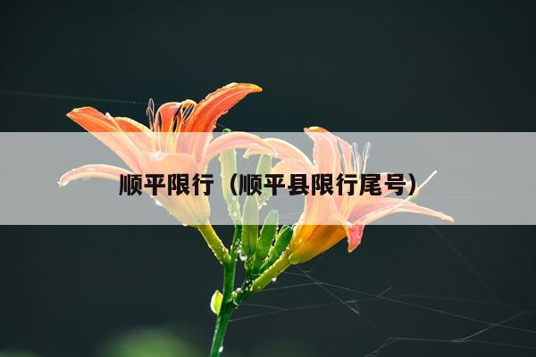 顺平限行（顺平县限行尾号）