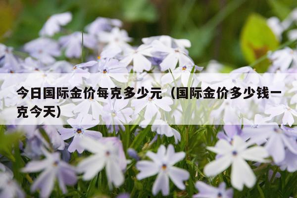 今日国际金价每克多少元（国际金价多少钱一克今天）