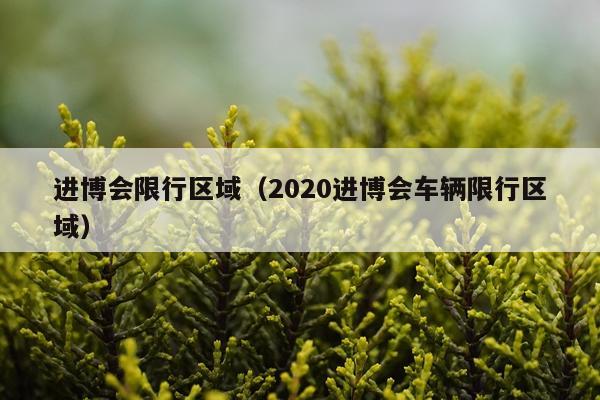 进博会限行区域（2020进博会车辆限行区域）