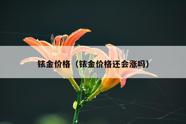 铱金价格（铱金价格还会涨吗）