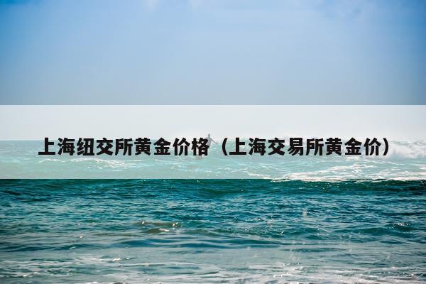 上海纽交所黄金价格（上海交易所黄金价）