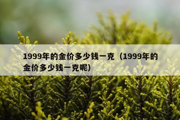 1999年的金价多少钱一克（1999年的金价多少钱一克呢）